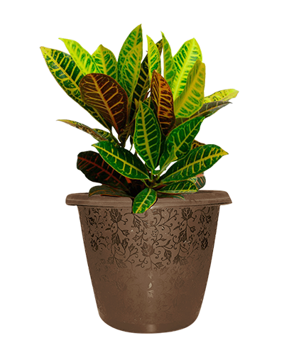 Decorative Pots Manufacturers in ahmedabad
