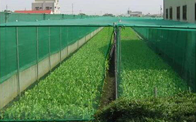Agro Shade Net Suppliers