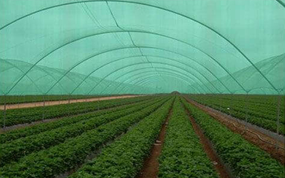 Agro Shade Net Manufacturers