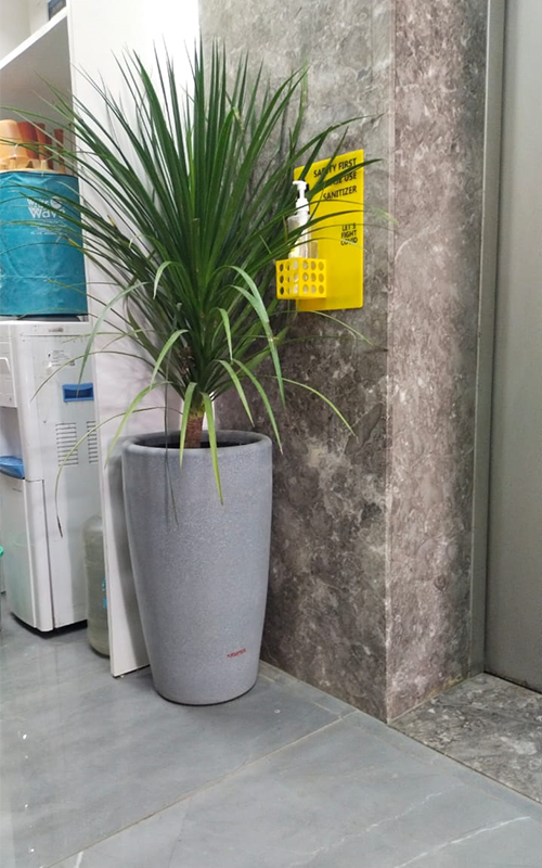 vertical pot plants Suppliers in ahmedabad