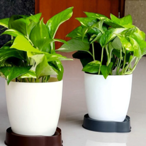 plastic flower pots manufacturers in india