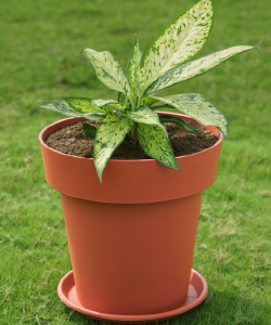 garden pots manufacturers