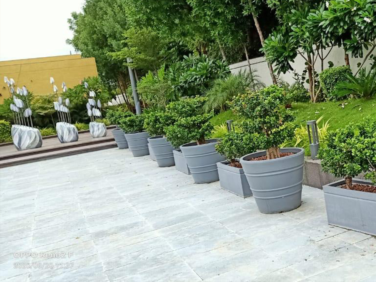 Rotomould Planter Suppliers in ahmedabad