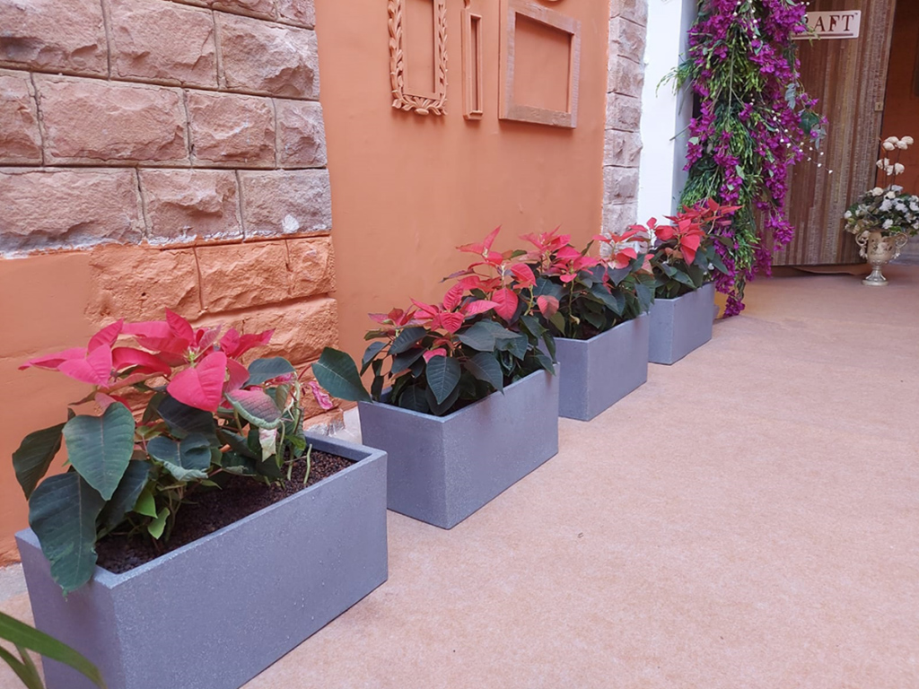 large size planter wholesalers in india