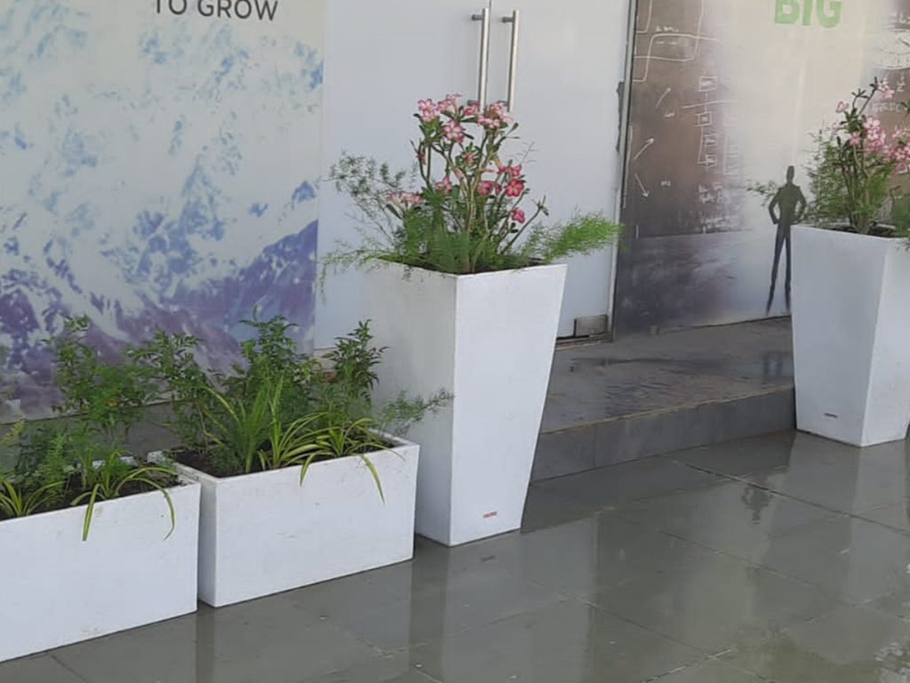 Large Size Planter Manufacturers in india